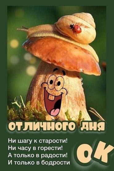 Спил деревьев, заготовка дров: Ищу,кто спилит сухие деревья,на дрова,на баню и