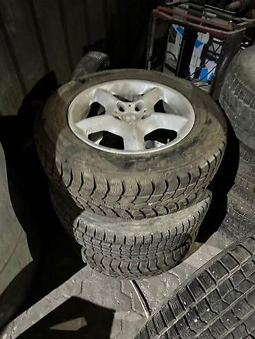 Комплект зимних шин Dunlop на дисках - Количество: 4 шт. - Сезон
