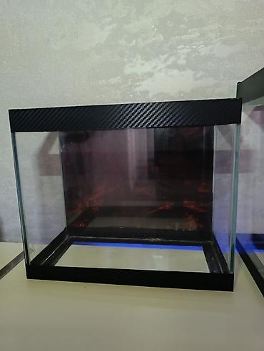 afcarka qara: Akvaryum şüşə akvariumlar – 3 fərqli ölçüdə - 44×18×29 sm – 22,5 litr — 10