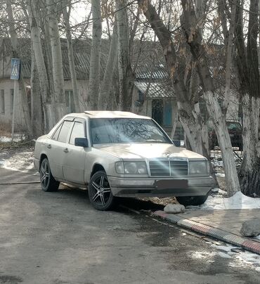 Mercedes-Benz: Mercedes-Benz W124: 1989 г., 0.2 л, Механика, Бензин, Седан