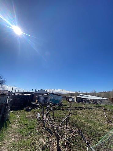 Продажа коттеджей и домов: ЭКСКЛЮЗИВНЫЙ ВАРИАНТ СРОЧНО 🏡 Продаётся дом с участком 📍 с. Арчалы ( — 11