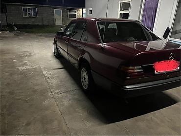 Mercedes-Benz W124: 1988 г., 2.3 л, Механика, Бензин, Седан