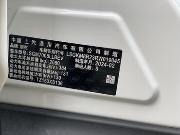 Buick: Buick : 2024 г., Электромобиль, Универсал — 10