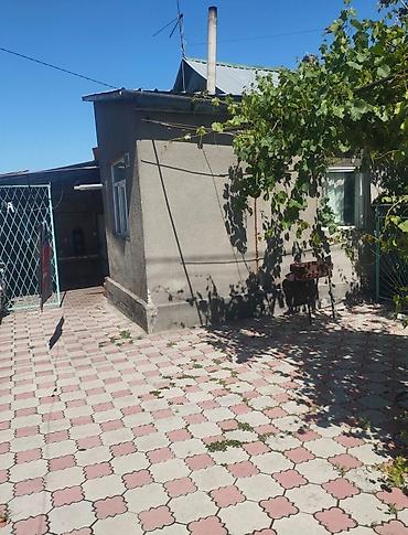 3комнатные: 🏠 СРОЧНО ПРОДАЁТСЯ ДОМ В БИШКЕКЕ 📍 Район: Аламединский рынок — 5