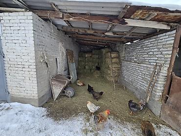 Продажа участков: 6 соток, Для строительства, Красная книга — 7