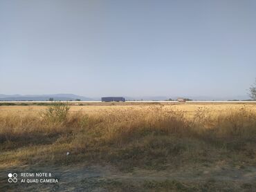 Otaqlar: 218 sot, Kənd təsərrüfatı, Kupça (Çıxarış)