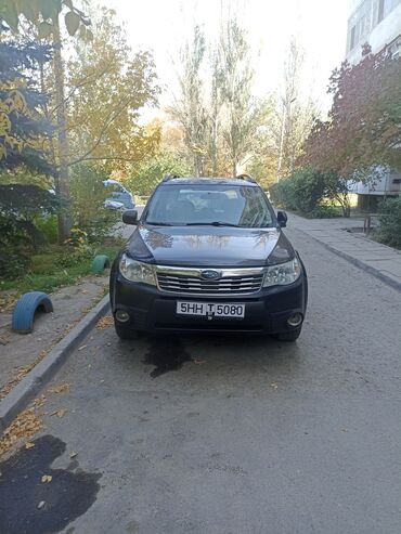 чехол для машины бишкек: Subaru Forester: 2008 г., Автомат, Бензин, Кроссовер
