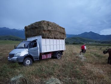 зил 131 самосвал: Грузовик, ГАЗ, Стандарт, 7 т, Б/у