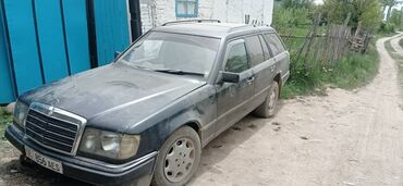 Mercedes-Benz: Mercedes-Benz W124: 1989 г., 2.3 л, Механика, Бензин, Универсал