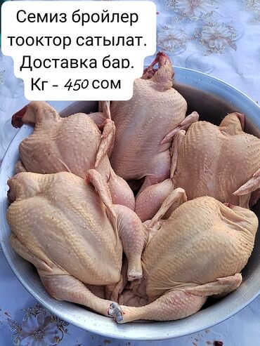 продам мясо курицы: Бройлер :, 4 кг