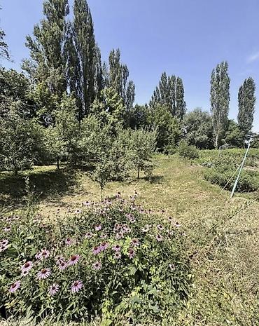 Жер тилкелери: 15 соток, Курулуш — 3