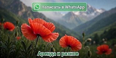 долгосрочная квартира восток 5: 2 комнаты, Восток-5 мкр Собственник, Семейным, от 1 года, С мебелью полностью — 8