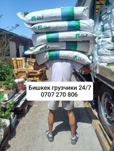 офис в аренду: Жүк ташуучу. 6 жылдан ашык тажрыйба