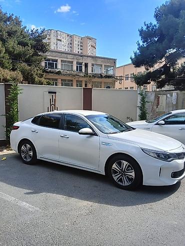 optima otracaqlar: Aylıq, Günlük, saatlıq şofer öz maşını ilə. KIA Optima Plug-in Hybrid — 1
