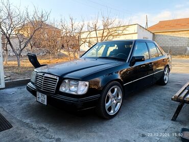 Mercedes-Benz: Mercedes-Benz W124: 1994 г., 2.8 л, Механика, Бензин, Седан — 7