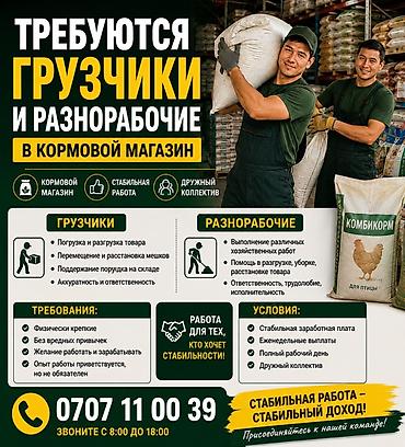Работа: Грузчик — 1