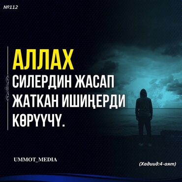 ул панфилова: 3 комнаты, Собственник, С подселением, С мебелью полностью