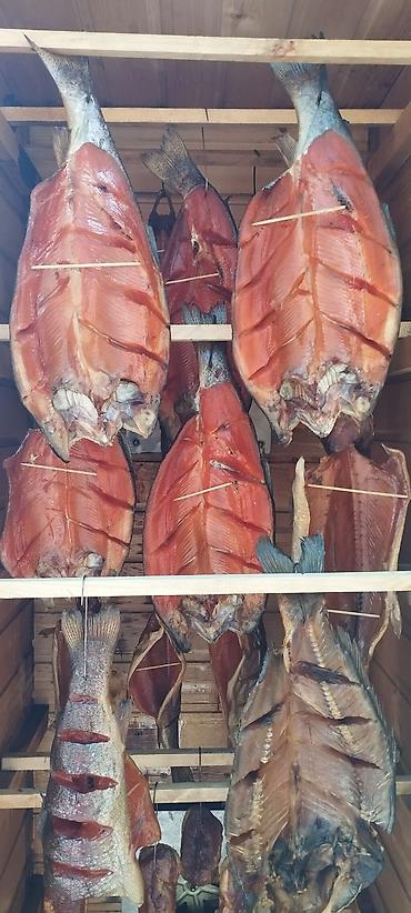 Другая рыбная продукция: Продаю холодного и горячего копчения Форель, домашнего приготовления — 18