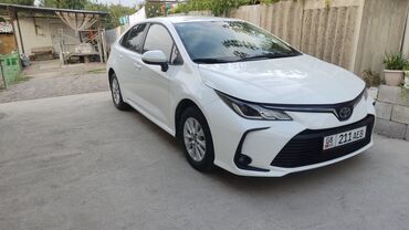кузов на рекс: Toyota Corolla: 2019 г., 1.8 л, Автомат, Бензин, Седан