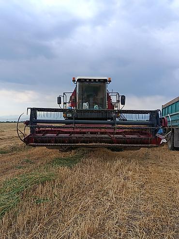 кун тракторный: Срочно продаю Комбайн палессе GS 812 с двумя жатками в отличном — 4