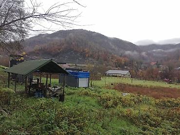 hovsanda torpaq satilir 2025: TƏCİLİ SATILIR – Lerik, Hamarmeşə kəndi, 30-cu km Esas yola 50 metr — 4