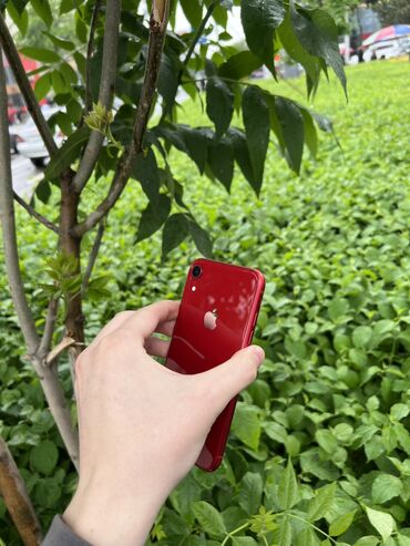 телефон айфон хр: IPhone Xr, Б/у, 128 ГБ, Красный, Защитное стекло, Чехол, 78 %