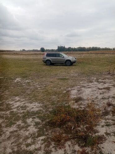 внедорожник: Nissan Expert: 2003 г., 2 л, Автомат, Бензин, Внедорожник