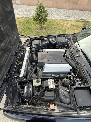 BMW: BMW 5 series: 1994 г., 4.4 л, Механика, Бензин, Седан