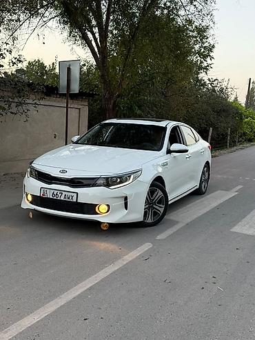 авто вишка: Kia K5: 2019 г., 2 л, Автомат, Гибрид, Седан — 3