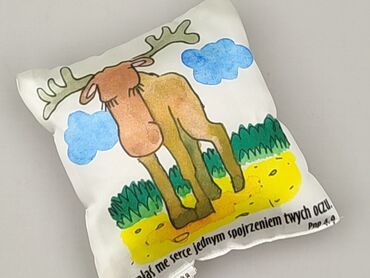 PL - Pillow 20 x 20, color - White, condition - Perfect