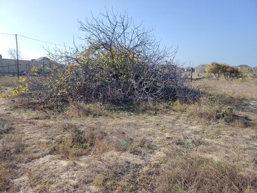 Torpaq sahələrinin satışı: 70 sot, Tikinti, Makler, Texniki pasport — 17