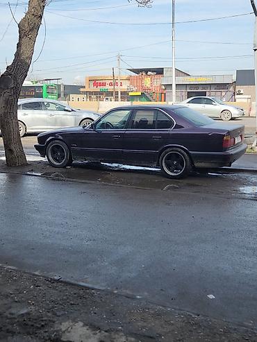 BMW: BMW 5 series: 1993 г., 2.8 л, Механика, Бензин, Седан — 4