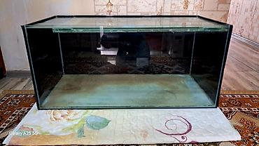 Akvariumlar: Dördbucaq akvarium, Boş, 225 l — 2