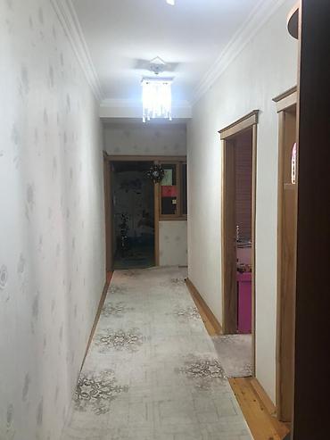sirvan bina evleri: 4 otaqlı, Yeni tikili, 114 kv. m — 6