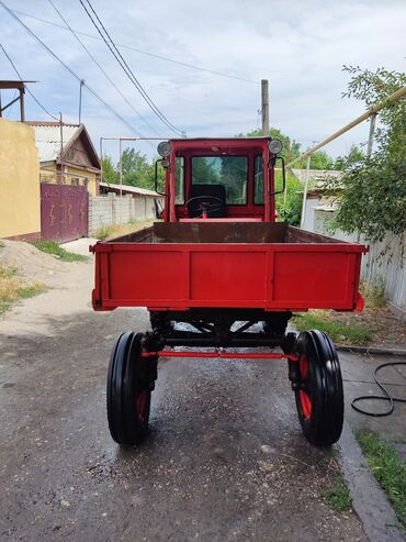 трактор в беларуси купить: Т16 хороший состояние и касилка абмен авто