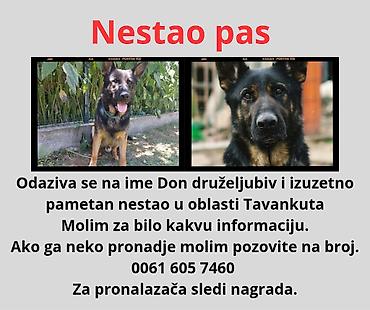 Psi: ❗ IZGUBLJEN PAS – DON ❗ 🙏 MOLIMO ZA POMOĆ I DELJENJE 🙏 Don je nestao i — 1