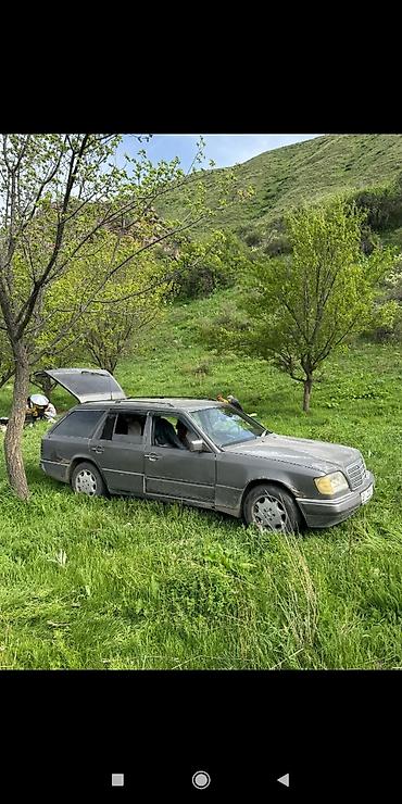 Mercedes-Benz: Mercedes-Benz W124: 1991 г., Универсал — 2