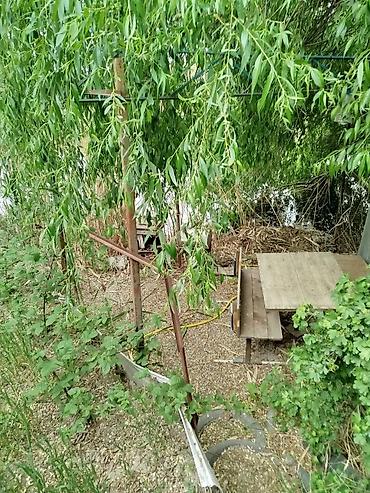 Продажа квартир: 4 комнаты, 72 м² — 23