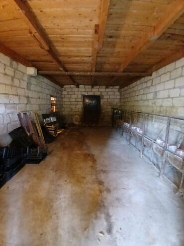 Kənd təsərüfatı heyvanları üçün digər mallar: Salam Arenda veya satmaq Heyvan saxlanılan təsərrüfat/qoyun‑malqar — 3