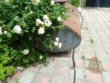 Baklar və çənlər: Bak, Metal, 2500 l l, İşlənmiş, Ünvandan götürmə