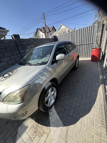Lexus: Lexus RX: 2005 г., Кроссовер — 14
