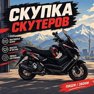 ninja h2: Скутер стоит без дела? Нужны деньги? КУПИМ ТВОЙ СКУТЕР! Рассмотрим — 1