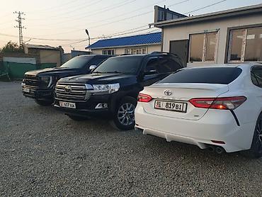 тоя пистолет: Ford F-150: 2019 г., 3.5 л, Автомат, Бензин, Пикап — 1