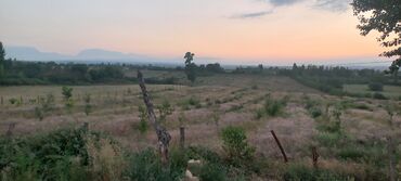 Torpaq sahələrinin satışı: Kənd təsərrüfatı, Mülkiyyətçi — 33