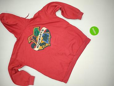 sweter harry potter: Sinsay, Bluza z kapturem damska, rozmiar L — 3