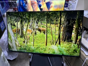 Телевизоры: Телевизоры YASIN 55G13K 140 см 55" 4k СРОЧНАЯ акция (google tv) - — 18