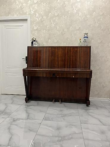 elektro gitara satisi: Upright piano – Oktava markası - Korpus: tünd qəhvəyi, parlaq taxta — 2