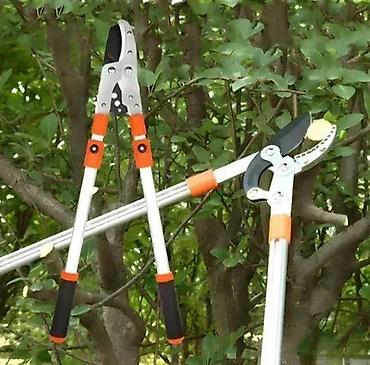 trimer demon cena: Teleskopske Makaze za Orezivanje i Sečenje Dobrodošli u Davidov Shop — 1