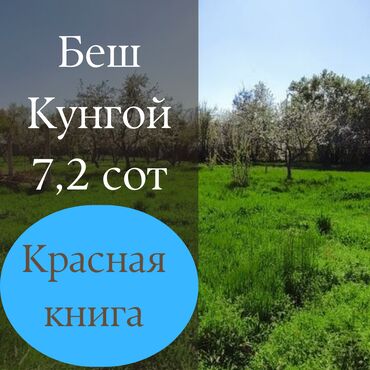 домик в лесу: 7 соток, Для строительства, Договор дарения, Красная книга, Тех паспорт