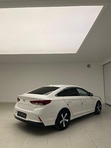 byd yan plus: Hyundai Sonata: 2019 г., Седан — 6